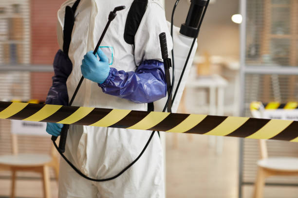 Professional Biohazard Cleanup technician working in Pine, AZ